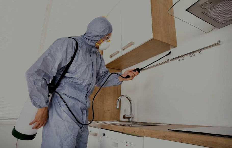 Hanford pest managment